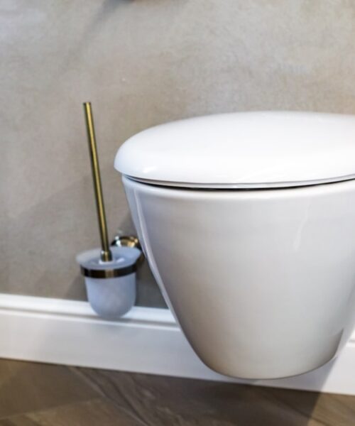 derfor-skal-du-vaelge-et-vaeghaengt-toilet
