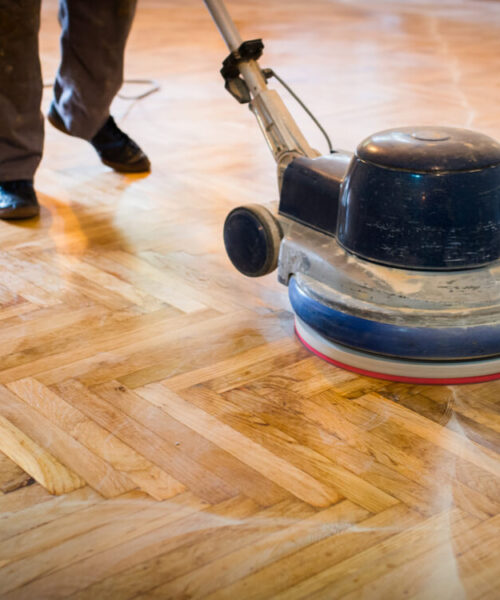 hold-dine-traegulve-flotte-og-friske