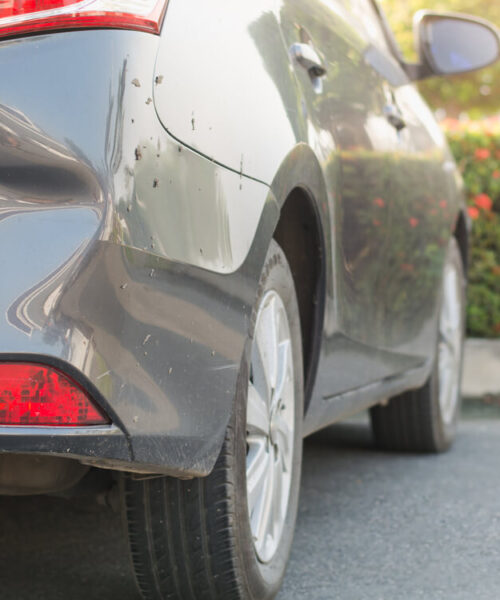 faa-ordnet-bulen-hos-lokalt-autovaerksted