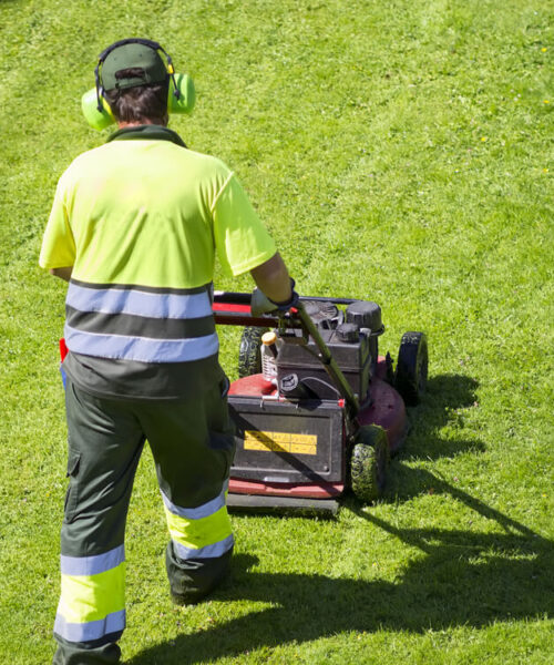 faa-en-professionel-graesslaaning