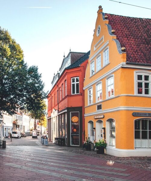 ny-bopael-faa-hjaelp-til-at-vaelge