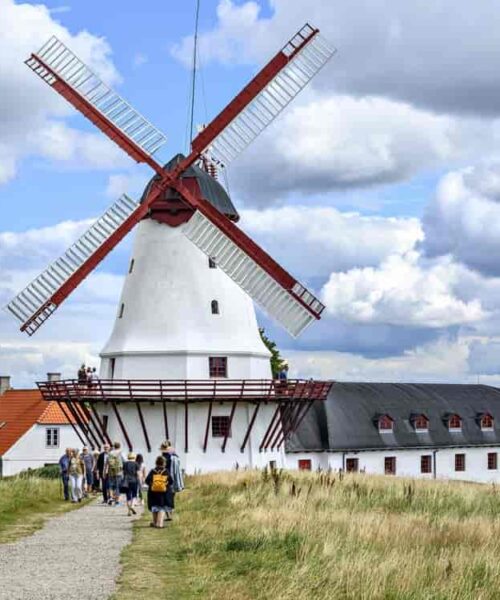 10-bedste-aktiviteter-i-soenderjylland-med-boern