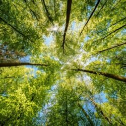 drop-moedelokalet-taenk-i-nye-rammer